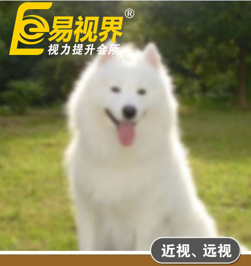 不一樣的眼病，不一樣的世界