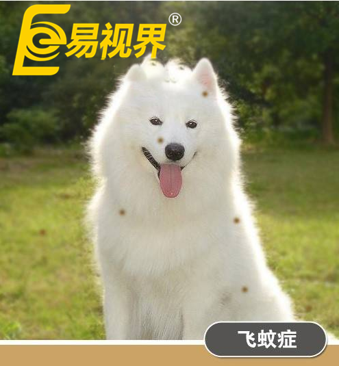 不一樣的眼病，不一樣的世界